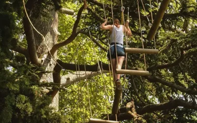 Accrobranche à Auterive : sensations garanties en pleine nature