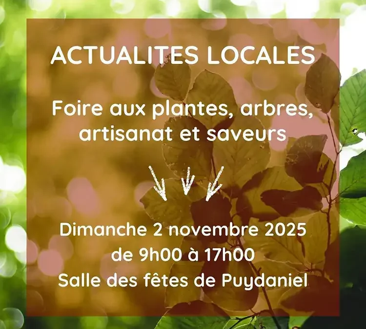 Foire de Puydaniel du 2 novembre 2025