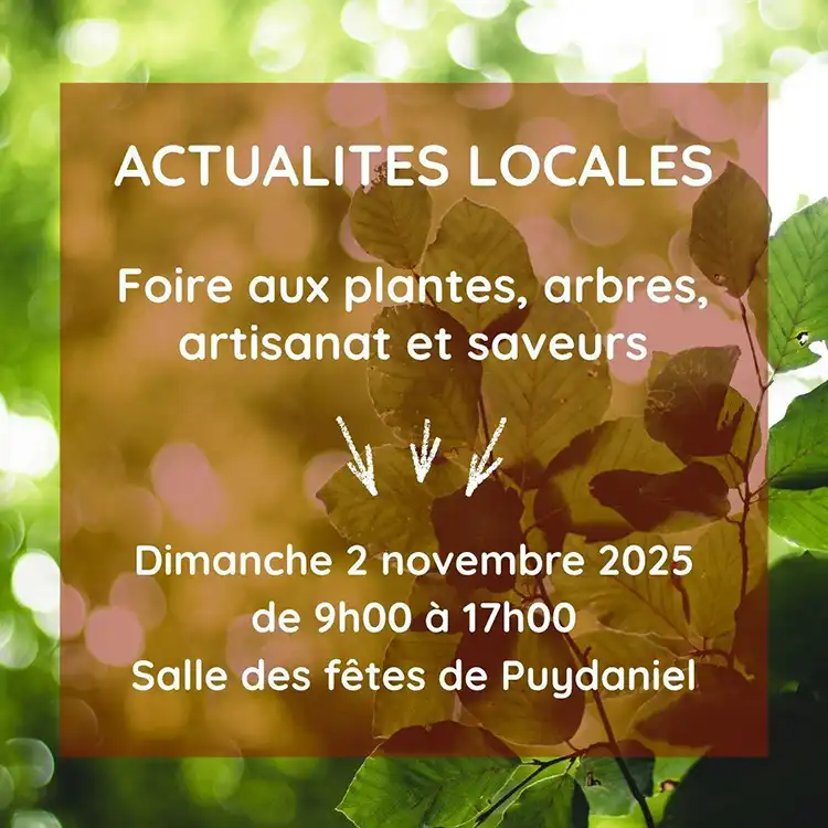 actualiteslocales_foirepuydaniel