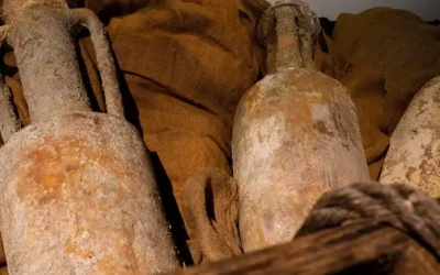 Fonds archéologiques à Auterive : un voyage dans le temps