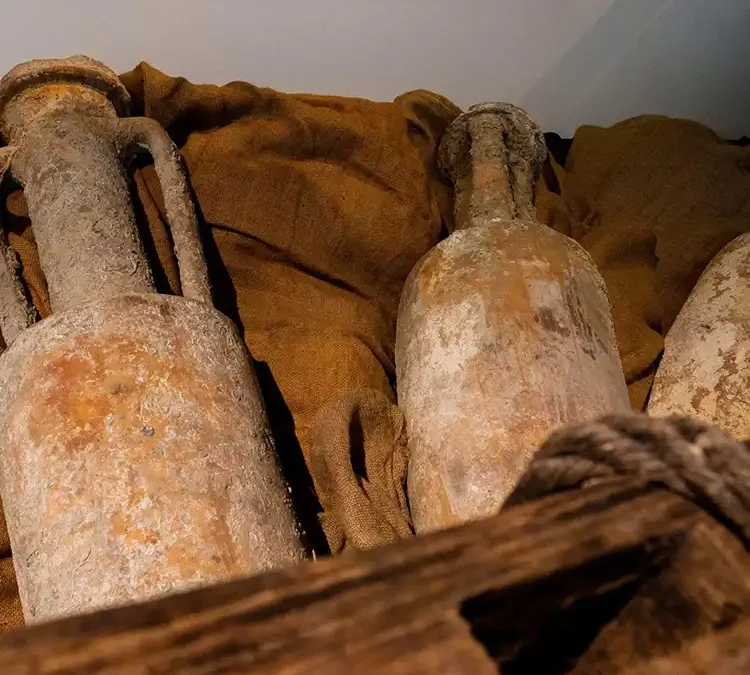 Fonds archéologiques à Auterive : un voyage dans le temps