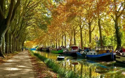 A la découverte du Canal du Midi