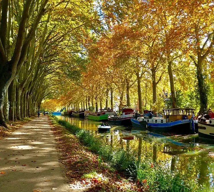 A la découverte du Canal du Midi
