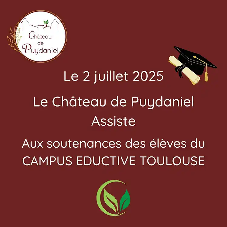 chateau_de_puydaniel_campus_eductive chateau_de_puydaniel_campus_eductive